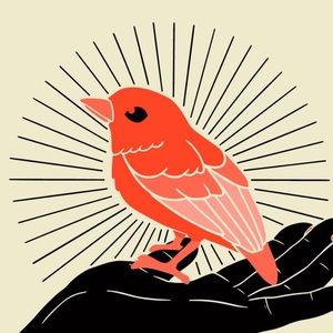 Meet your Posher, Dee